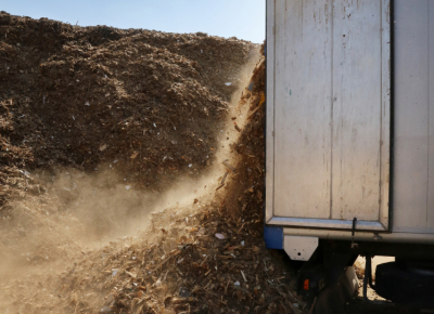 Biomassa